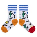 Chaussettes Mexico