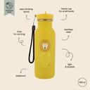 Gourde 500ml - Mr. Lion